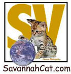 Savannahcat.com